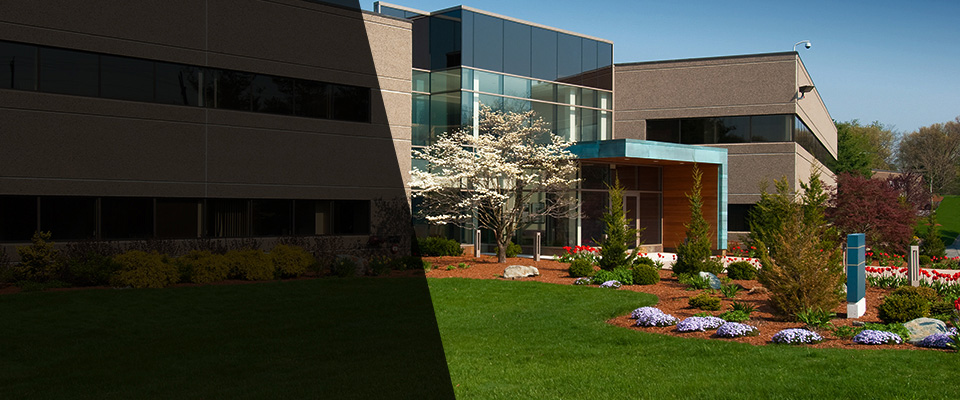 Mount Sinai Landscapers