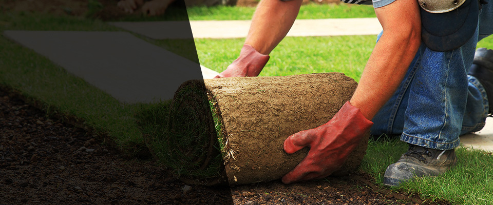 Mount Sinai Landscapers